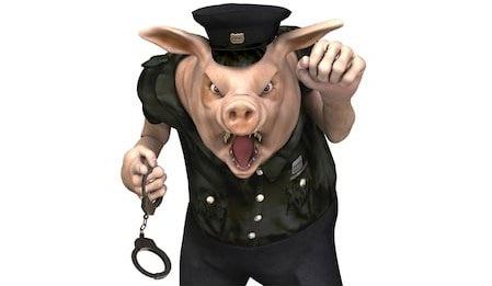 Pig Cop with handcuffs in his hand knocking on the door, he looks very mean and nasty