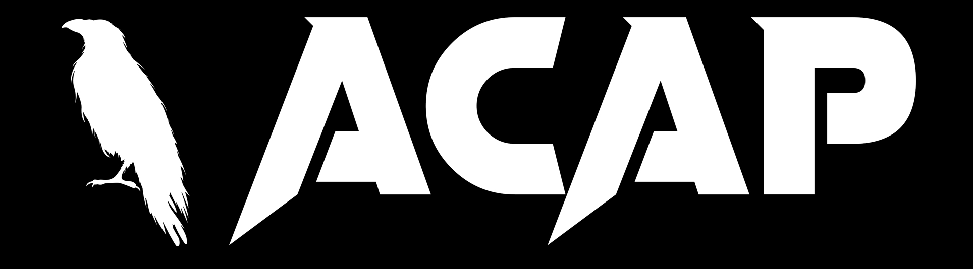 A white raven and sharp futuristic font that says ACAP in white lettering with an all black background